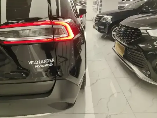 Toyota Wildlander 2022 (36800 км)