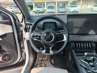 BYD Yuan PLUS 2022 (87600 км)