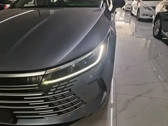 BYD Destroyer 05 2022 (55300 км)