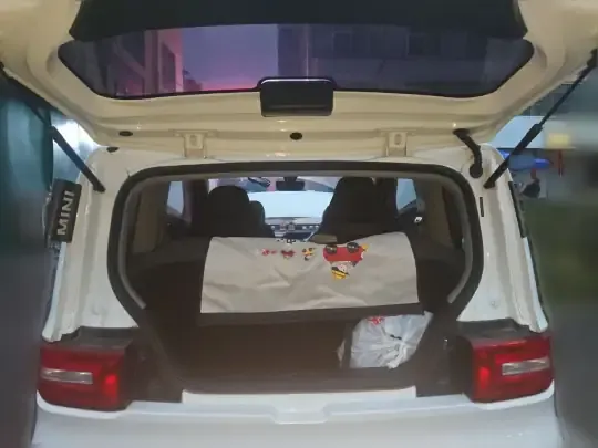 Wuling Hongguang MINIEV 2022 (9500 км)