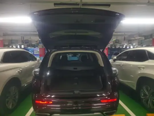 Buick Envision 2022 (13799 км)