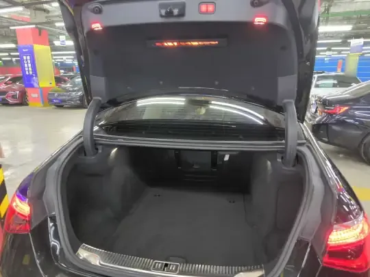 Mercedes-Benz S-Class 2022 (66900 км)