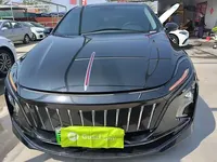 Hongqi E-QM5 2021 (25000 км)
