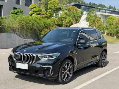 BMW X5 2022 (32500 км)