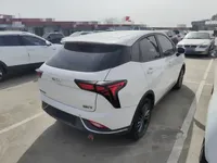 NETA V 2022 (102899 км)