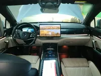 BYD Tang New Energy 2022 (23100 км)