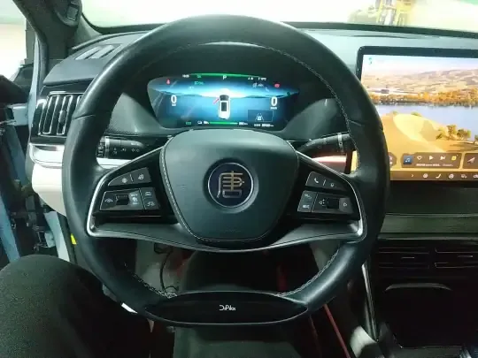 BYD Tang New Energy 2022 (23100 км)