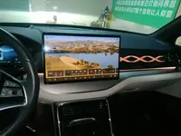 BYD Tang New Energy 2022 (23100 км)