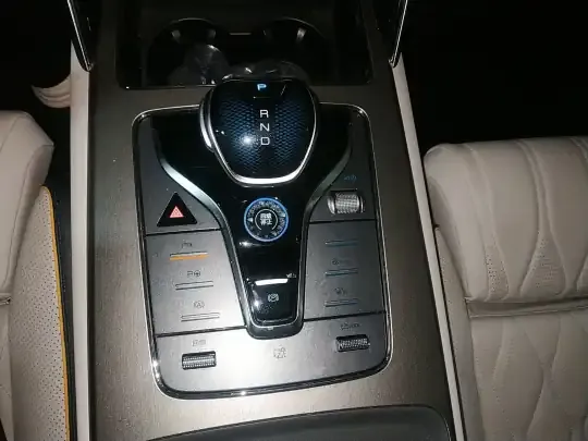 BYD Tang New Energy 2022 (23100 км)