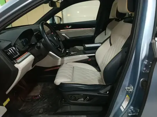 BYD Tang New Energy 2022 (23100 км)