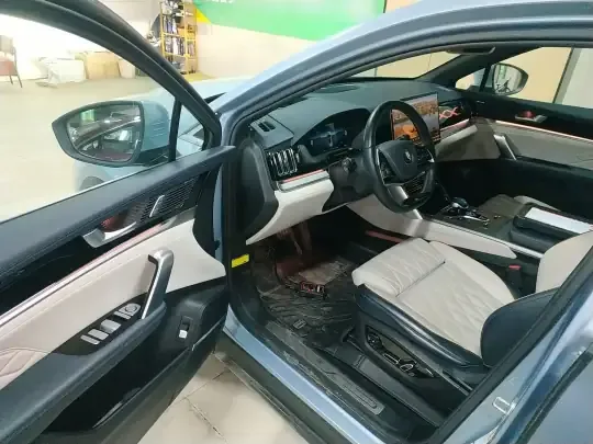 BYD Tang New Energy 2022 (23100 км)