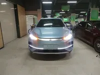 BYD Tang New Energy 2022 (23100 км)