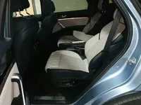 BYD Tang New Energy 2022 (23100 км)