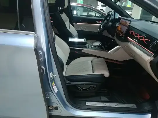 BYD Tang New Energy 2022 (23100 км)