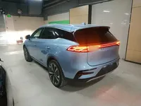 BYD Tang New Energy 2022 (23100 км)