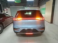 BYD Tang New Energy 2022 (23100 км)