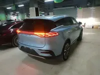 BYD Tang New Energy 2022 (23100 км)