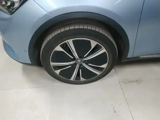 BYD Tang New Energy 2022 (23100 км)