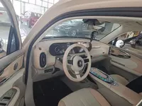 ORA Ballet Cat 2022 (25200 км)