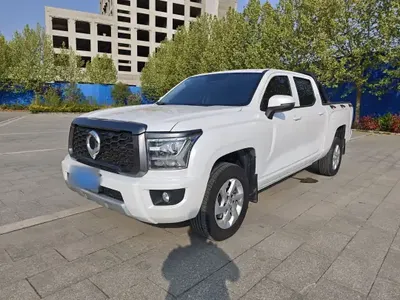 Great Wall King Kong Poer 2022 (31400 км)
