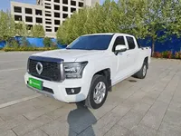 Great Wall King Kong Poer 2022 (31400 км)
