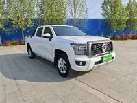 Great Wall King Kong Poer 2022 (31400 км)