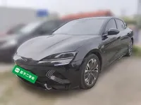 BYD Seal 2022 (57200 км)