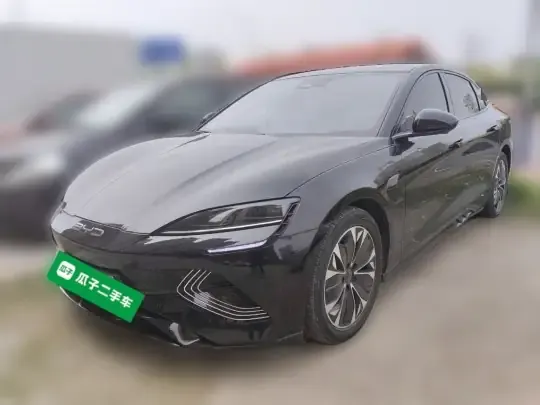 BYD Seal 2022 (57200 км)