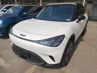 smart #1 2022 (29000 км)