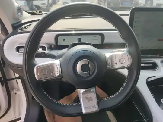 smart #1 2022 (29000 км)