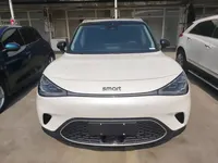 smart #1 2022 (29000 км)