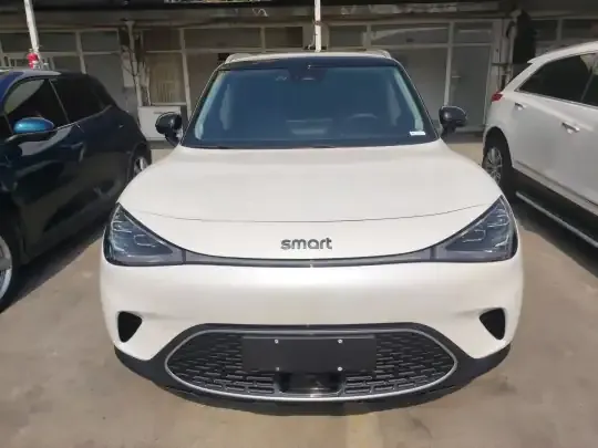 smart #1 2022 (29000 км)