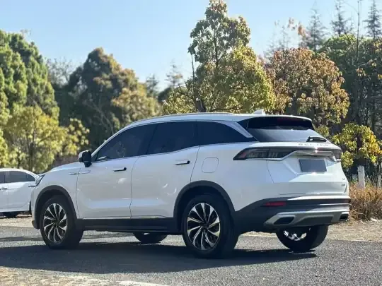 BAIC Beijing X7 2022 (19000 км)