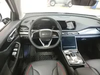 BAIC Beijing X7 2022 (19000 км)