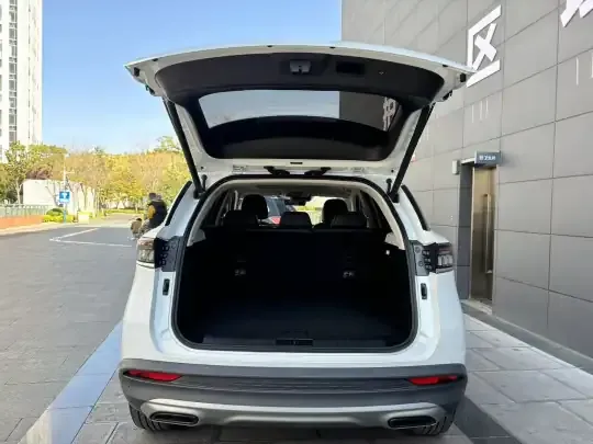 BAIC Beijing X7 2022 (19000 км)