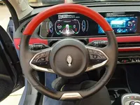 ORA Good Cat GT 2022 (17100 км)