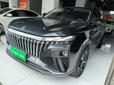 Dongfeng Aeolus Huge 2022 (123900 км)