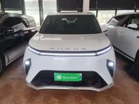 SAIC MAXUS Dajia 9 2022 (56200 км)
