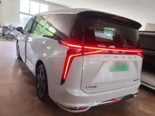 SAIC MAXUS Dajia 9 2022 (56200 км)