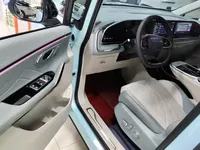 SAIC MAXUS Dajia 9 2022 (71200 км)