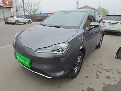 NETA V 2022 (24600 км)
