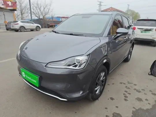 NETA V 2022 (24600 км)