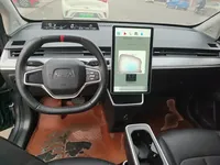 NETA V 2022 (24600 км)