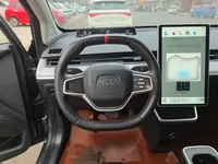 NETA V 2022 (24600 км)