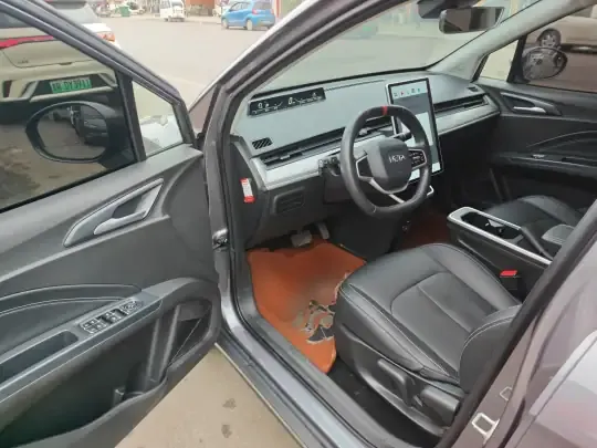 NETA V 2022 (24600 км)