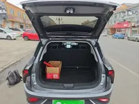 NETA V 2022 (24600 км)