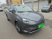 NETA V 2022 (24600 км)