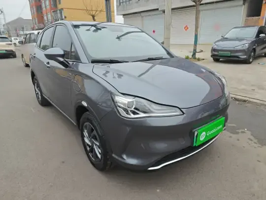 NETA V 2022 (24600 км)