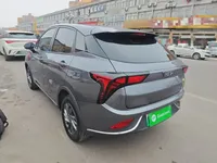 NETA V 2022 (24600 км)
