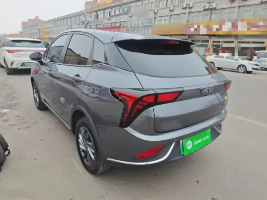 NETA V 2022 (24600 км)